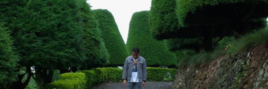 thiozard's profile banner image