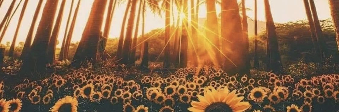 pandapaige4's profile banner image