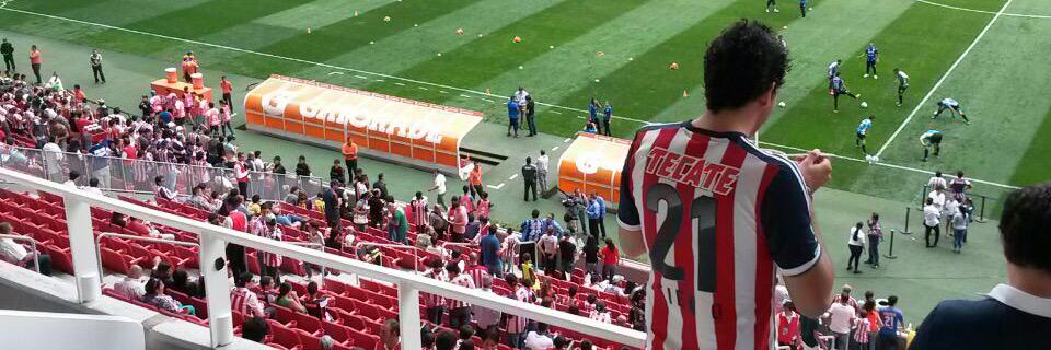 Delf banner