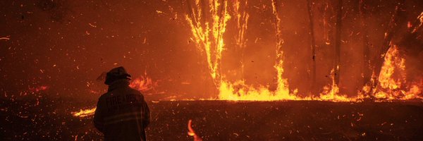 ShooterWol Profile Banner