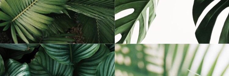 marelinmateo's profile banner image