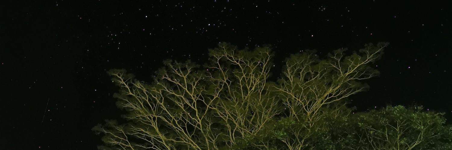 montseroa's profile banner image