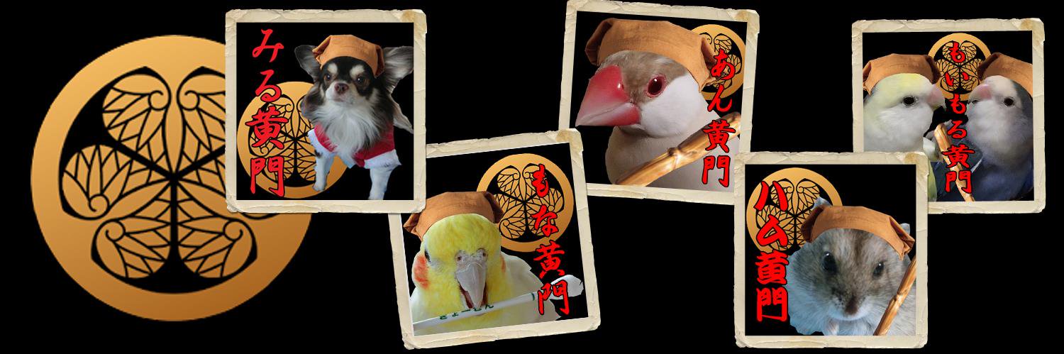 tironoumi's profile banner image