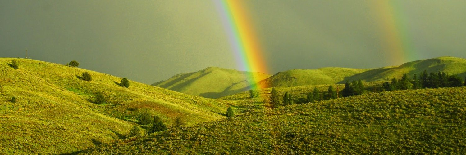 Robin Rogers banner