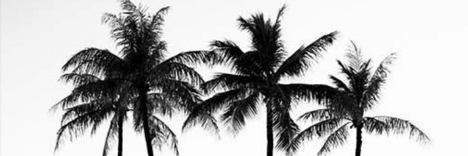 gdsmath's profile banner image