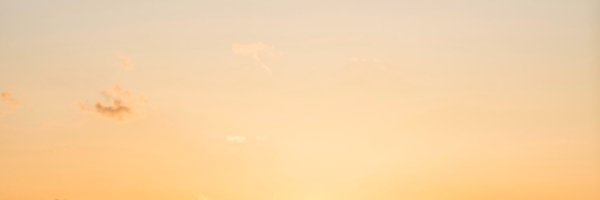 aroii Profile Banner