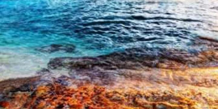 inred_is's profile banner image
