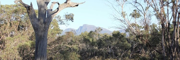 Jason Robinson banner