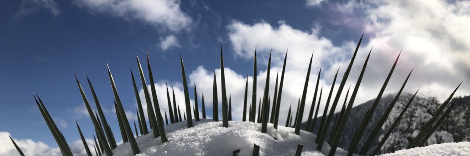 abstract womack banner