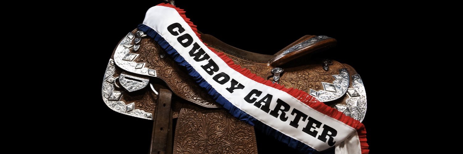 The Feminie Mystique banner