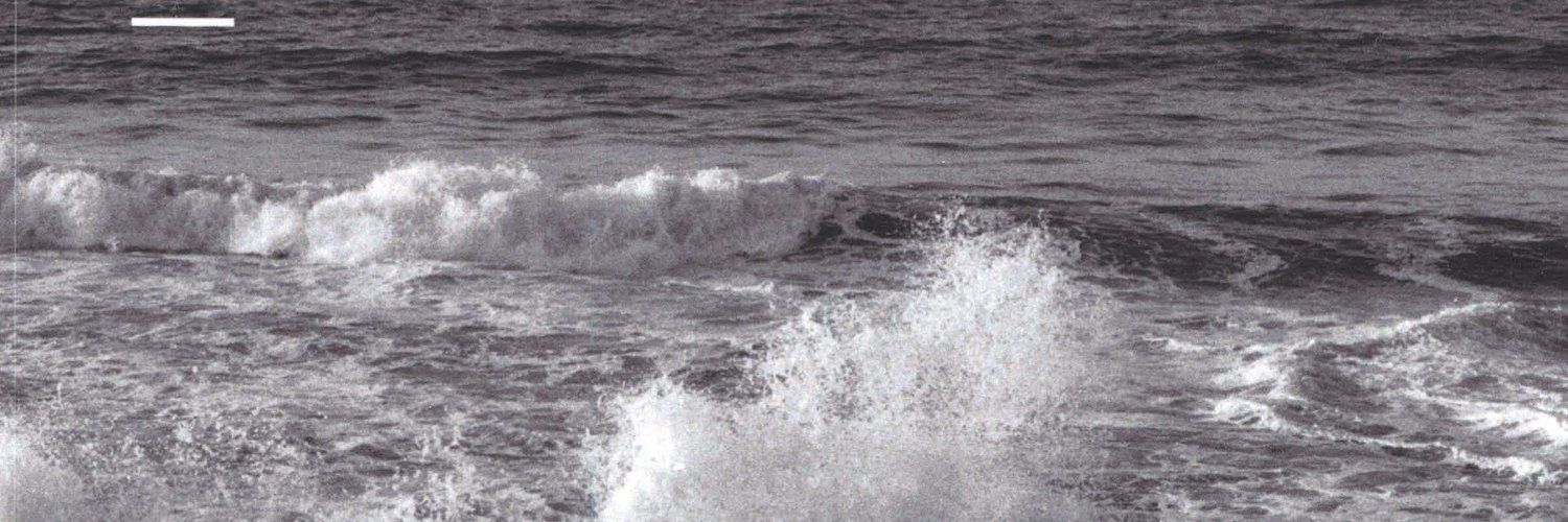 Annelies Moors الدكتورة اناليز banner