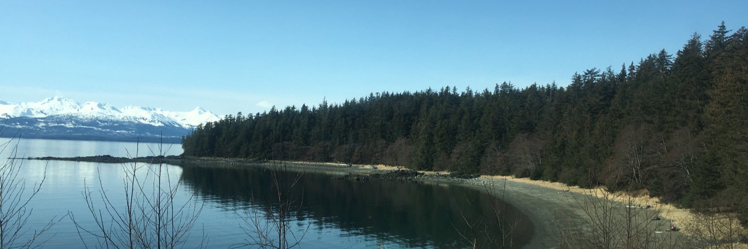 SheLaney's profile banner image