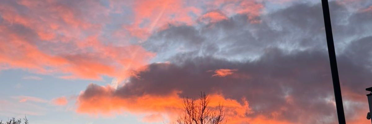 DStar95's profile banner image