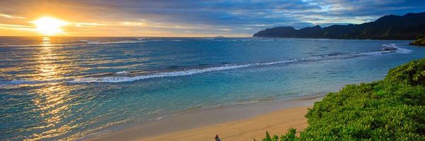 dpfd451 Profile Banner