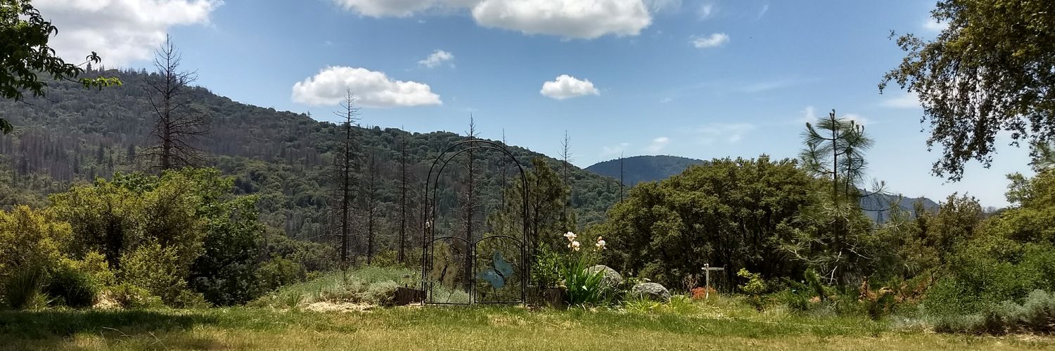 🇺🇸 California Democrats are Creepy SOBs 🇺🇲 banner