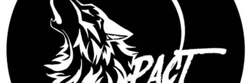 Lil B banner