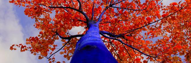Ode_Rowina's profile banner image