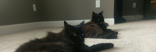 3LionsFan Profile Banner