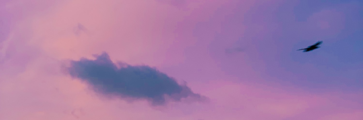 _smrodriguez's profile banner image