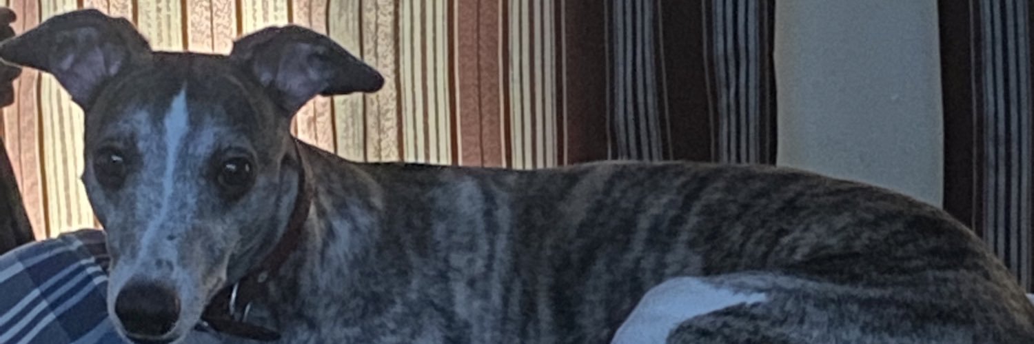 bournbouji's profile banner image