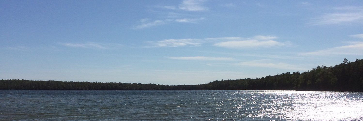 CamDemoor's profile banner image