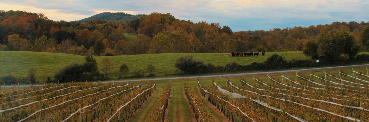 3FoxVineyards's profile banner image