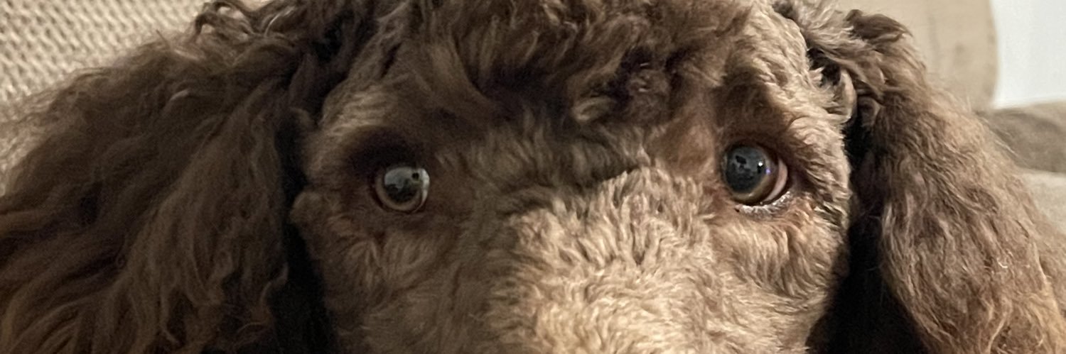 corimapes's profile banner image