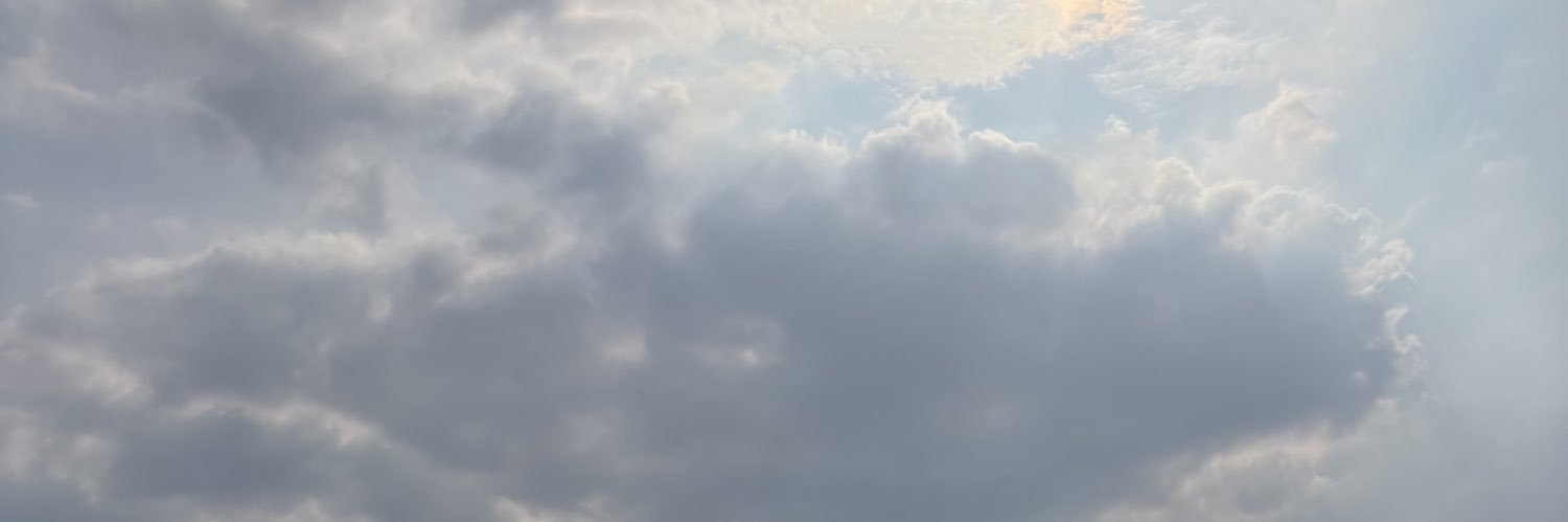 greedymichelle's profile banner image