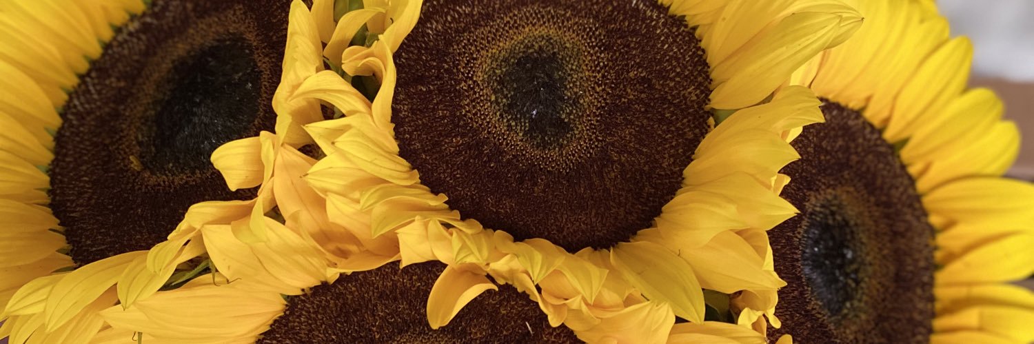 C e l e s t e 🌻 banner