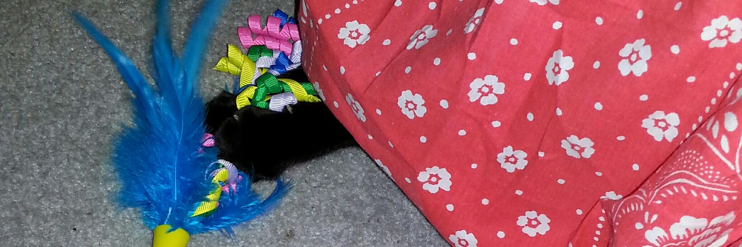yourevilcats's profile banner image