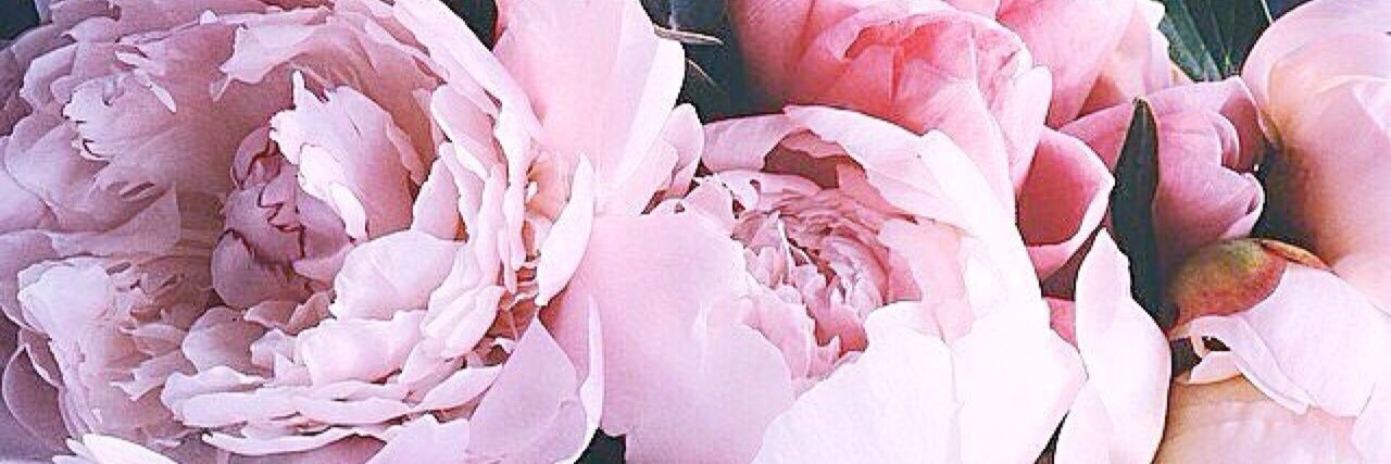 marisolmras's profile banner image