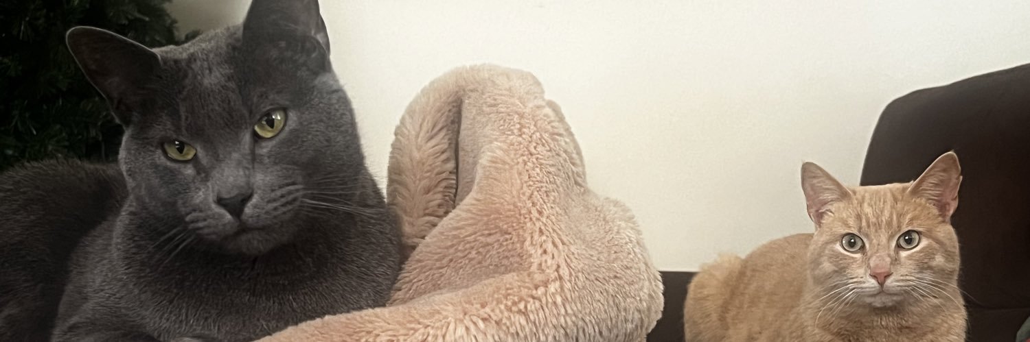 macienicol3's profile banner image