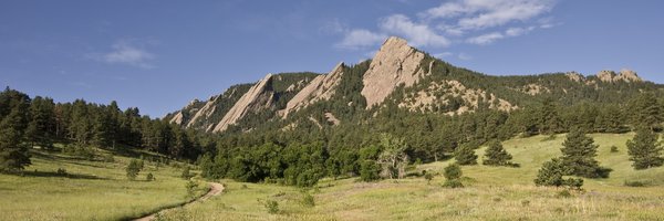 NSTProgram Profile Banner