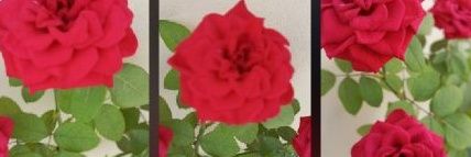 NandKumar_JSR's profile banner image