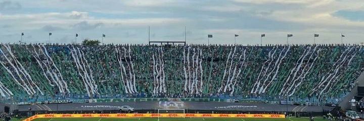gustavo. banner