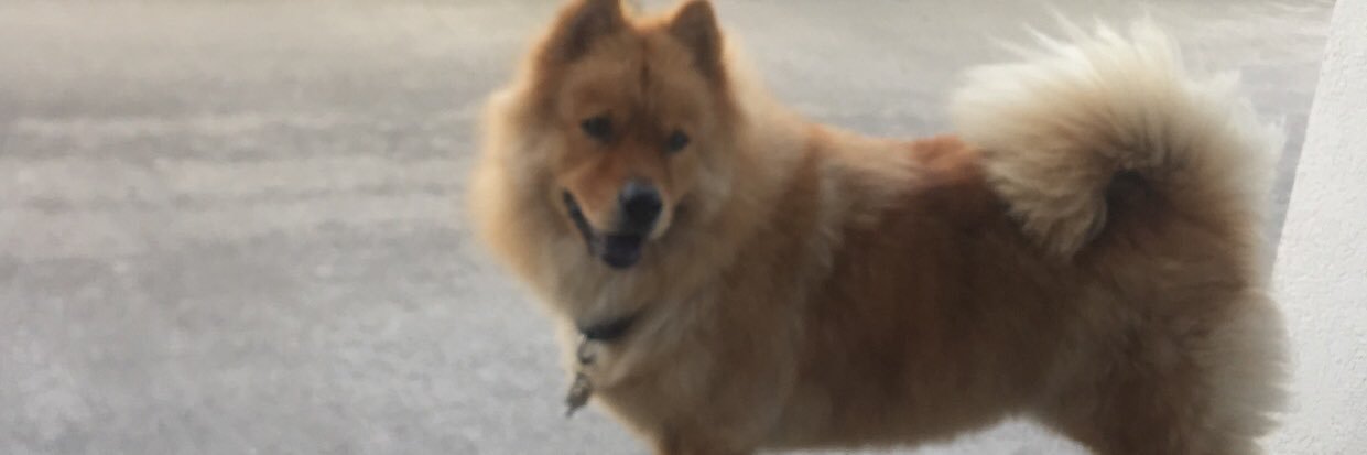 glorialopez001's profile banner image