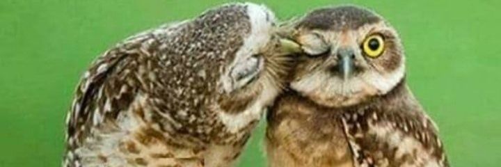 zacros's profile banner image