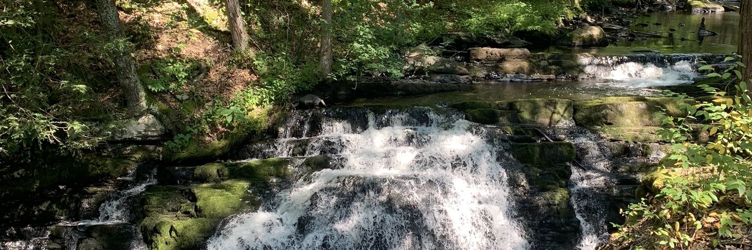 Elizabeth Seng banner