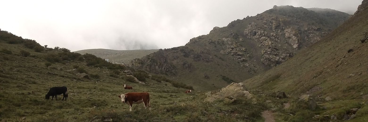 juanrodri46's profile banner image