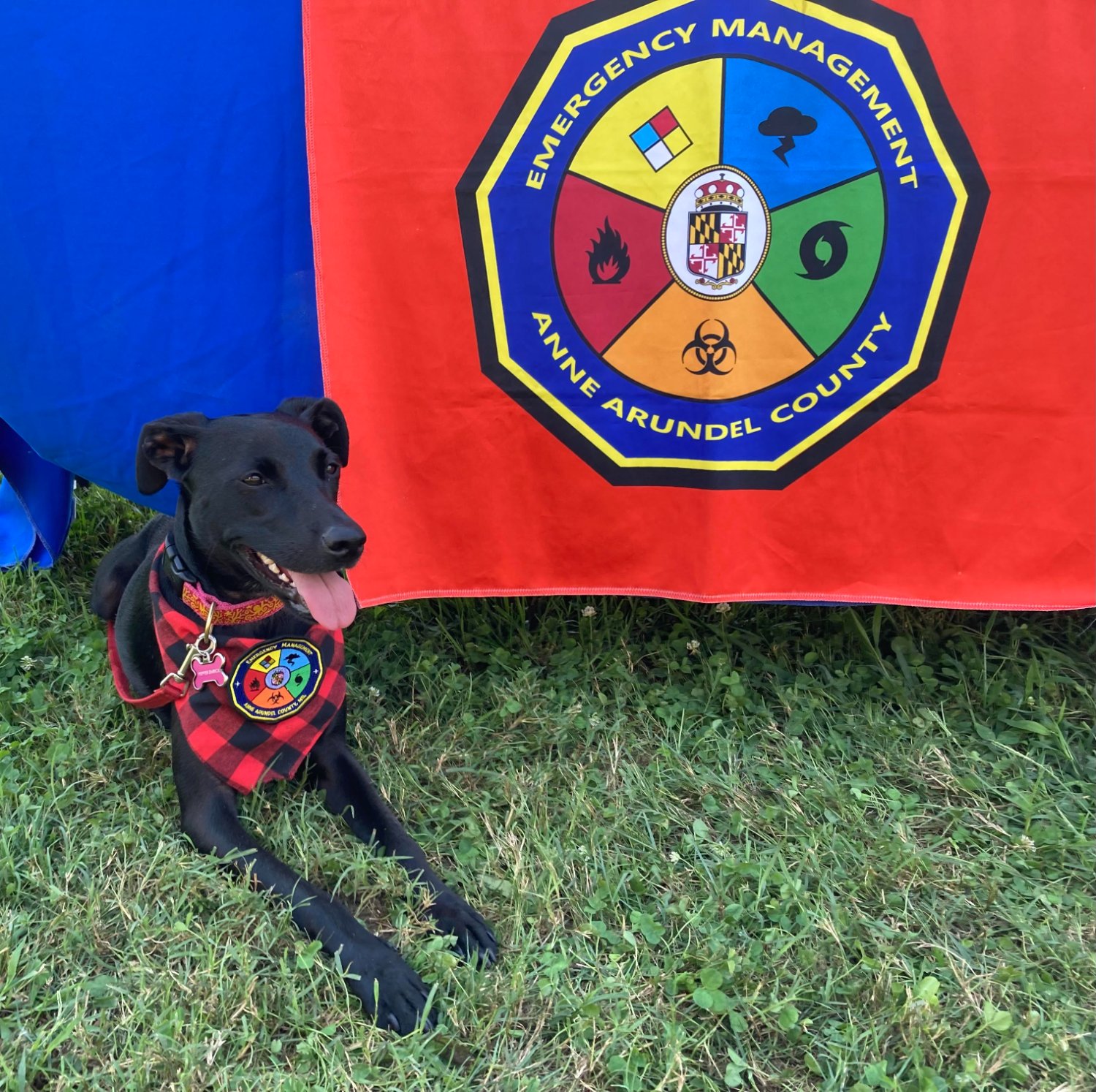AACO Office of Emergency Management banner