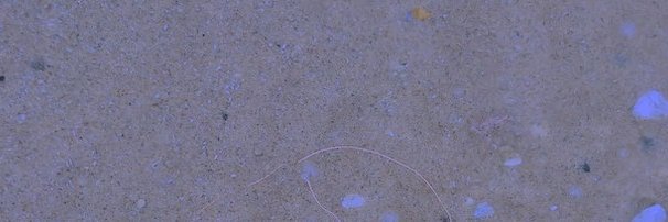 shirokamiirimo's profile banner image