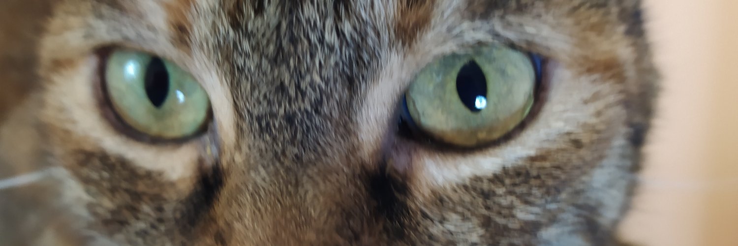 SoyJavierSilva's profile banner image