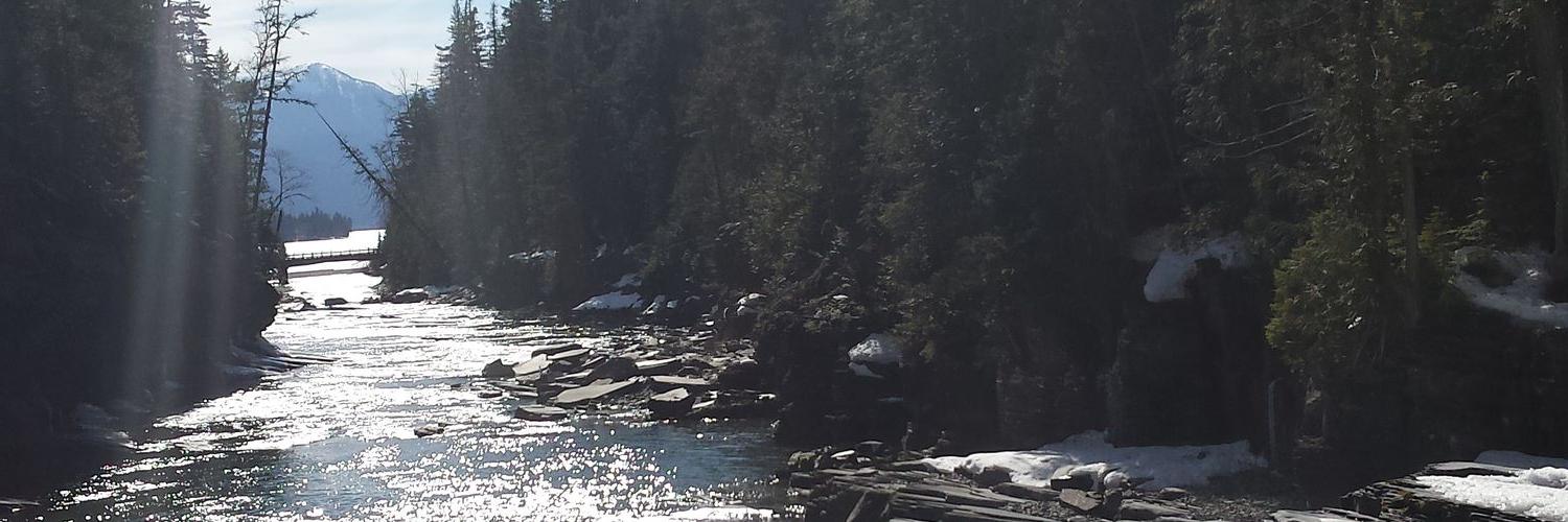 ReedBHarris's profile banner image