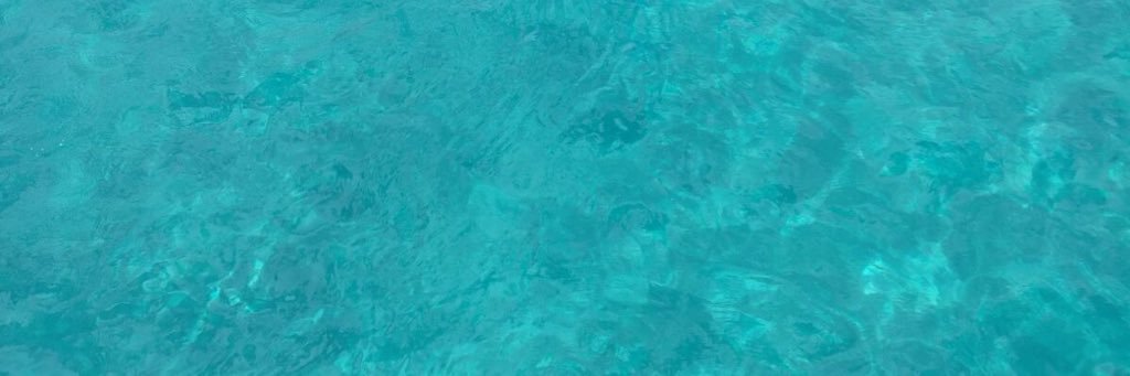 simonerenee. banner