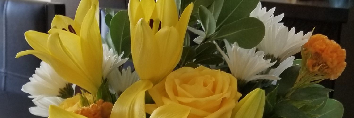 RachelleNeedham's profile banner image