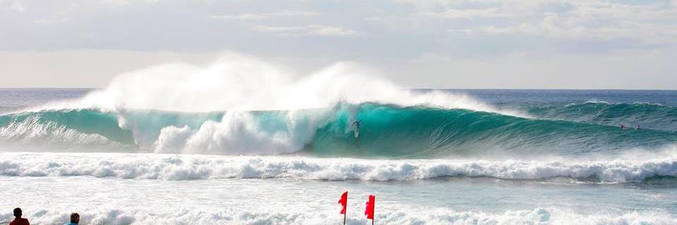 sandrofraga's profile banner image