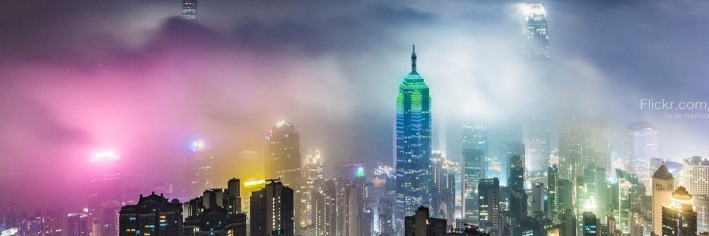 Michelle Thiel banner