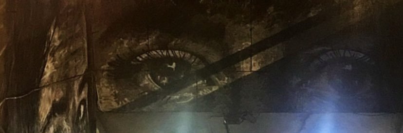 BluVisions's profile banner image