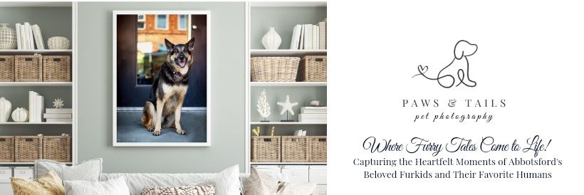 PawsandTailsPetPhotography banner