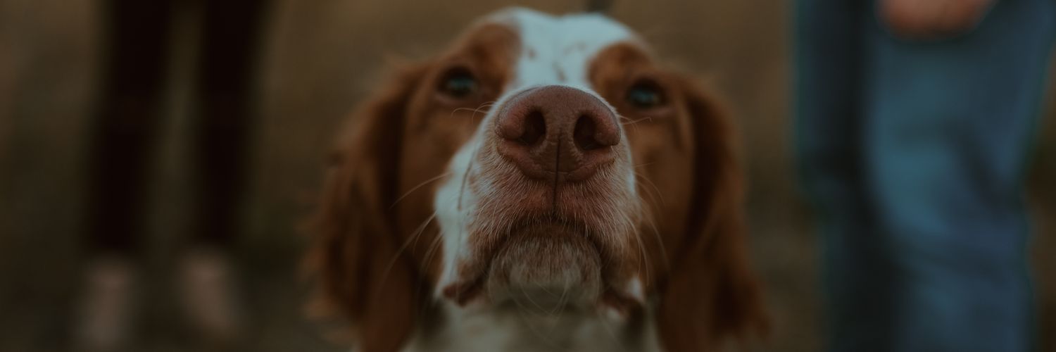 KaleMcHenry's profile banner image